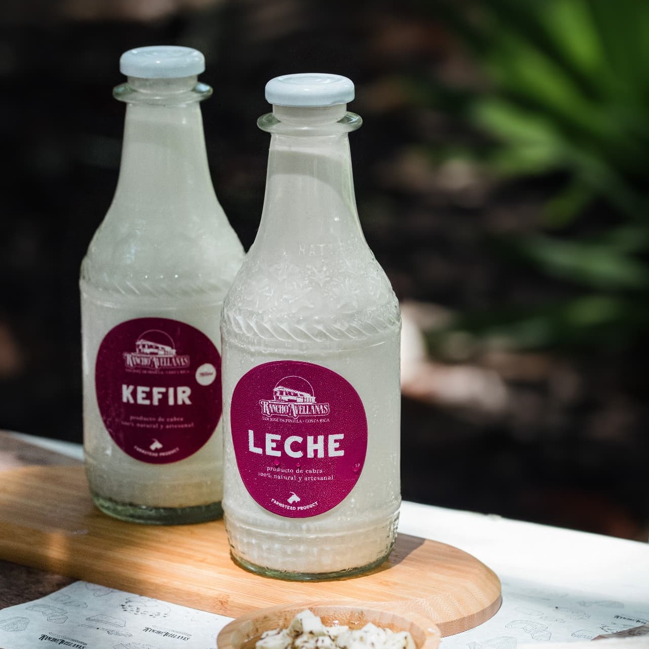 Leche y kéfir